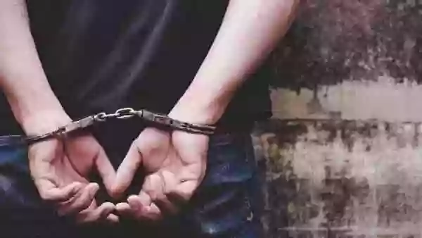 अवैध रूप से अमेरिका में घुसने के आरोप में 2 भारतीय गिरफ्तार