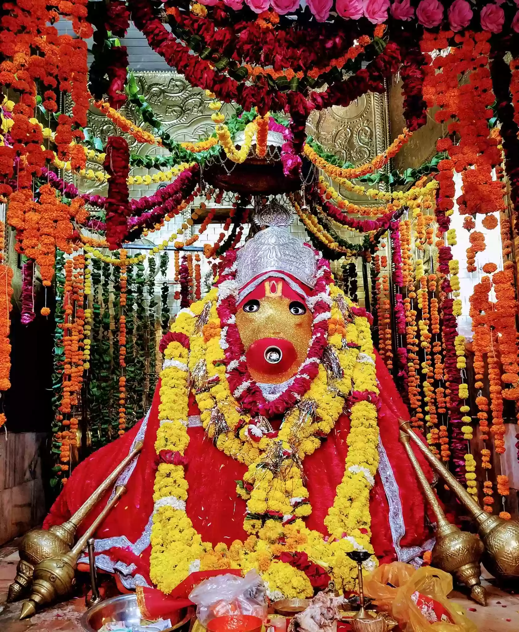 भोपाल के इन मंदिरों में हनुमान जन्मोत्सव के विशेष आयोजन, विदिशा में 7.50 लाख के नोटों से बजरंगबली का शृंगार