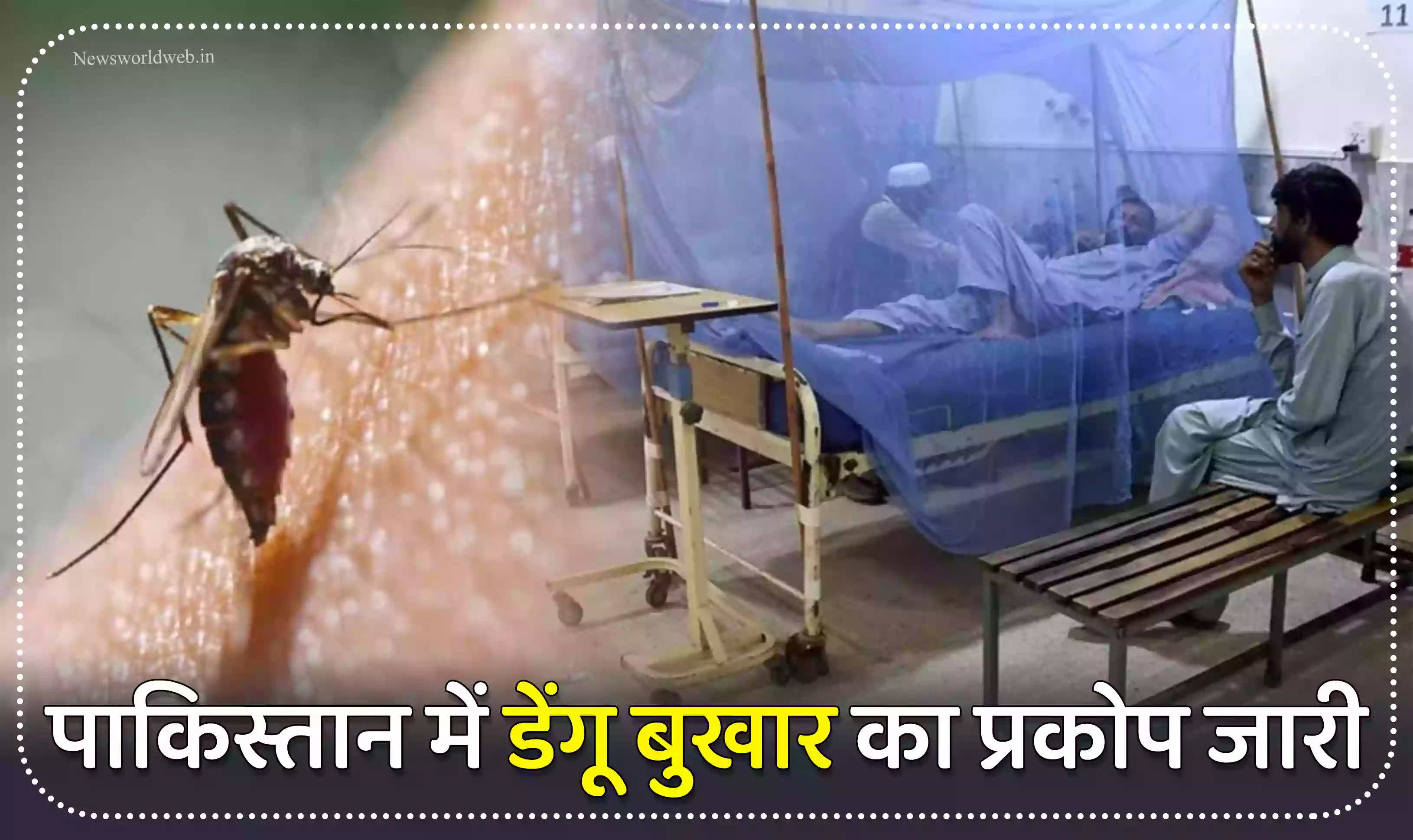 पाकिस्तान में डेंगू बुखार का प्रकोप जारी, पिछले 24 घंटे में मिले 350 नए मरीज