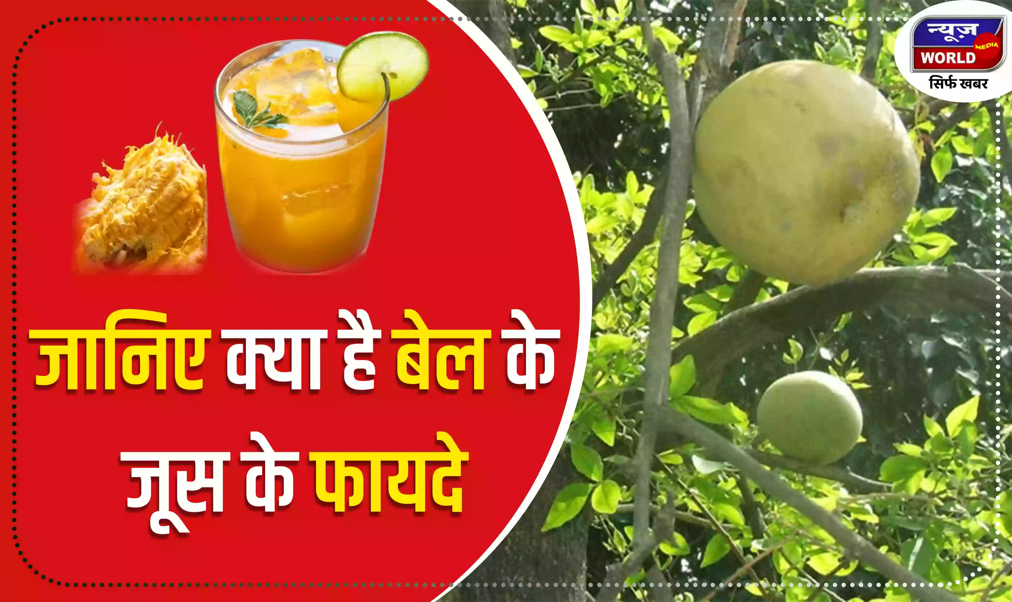 जानिए क्या है बेल के जूस के फायदे, सेहत के लिए अमृत की तरह करता है काम