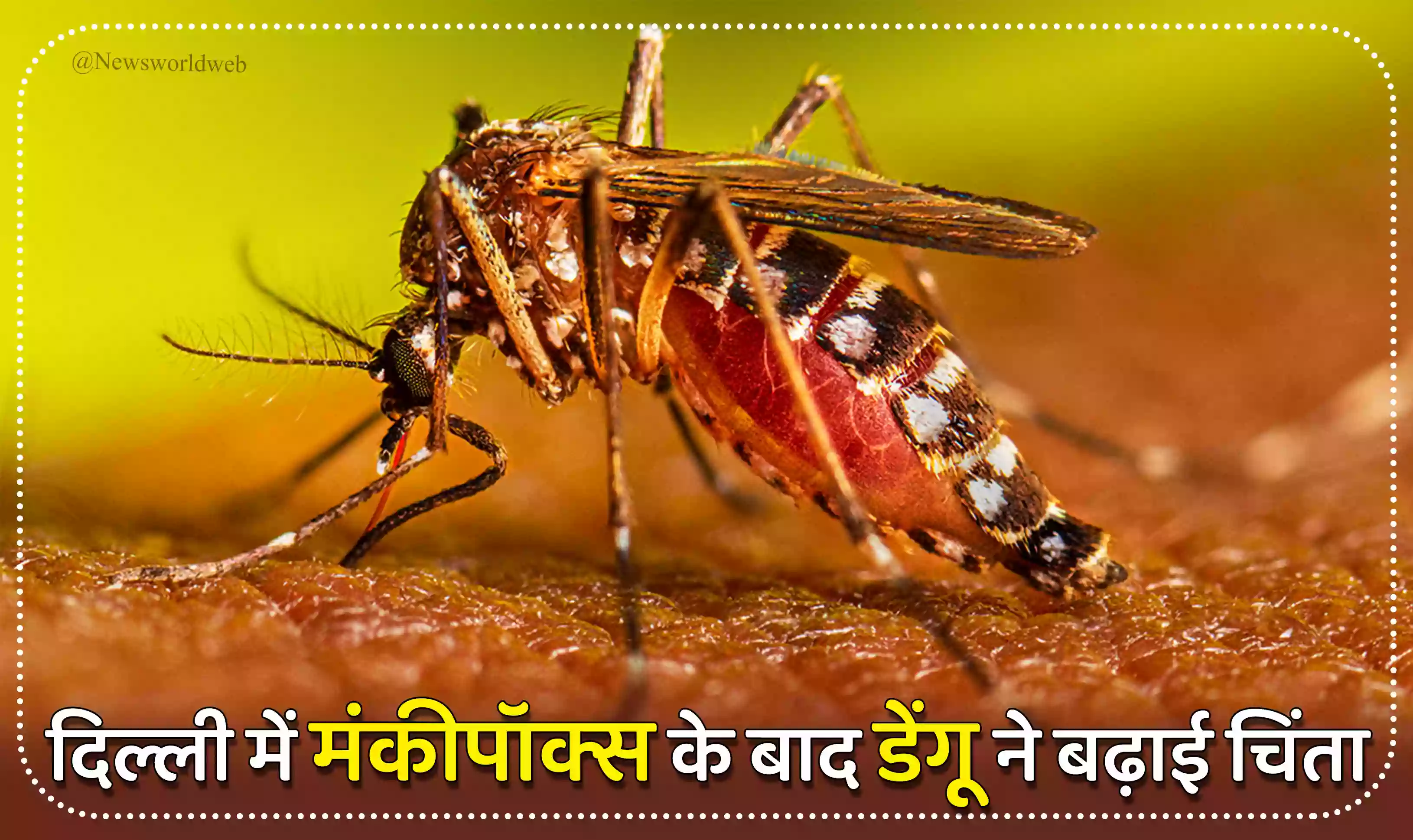 दिल्ली में मंकीपॉक्स के बाद डेंगू ने बढ़ाई चिंता, 51 नए मामलों के साथ टूटा पिछले 4 साल का रिकॉर्ड
